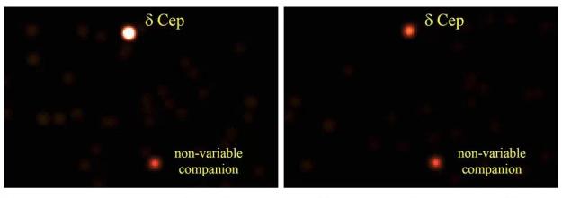 delta cefeo variable en rayos x.jpg