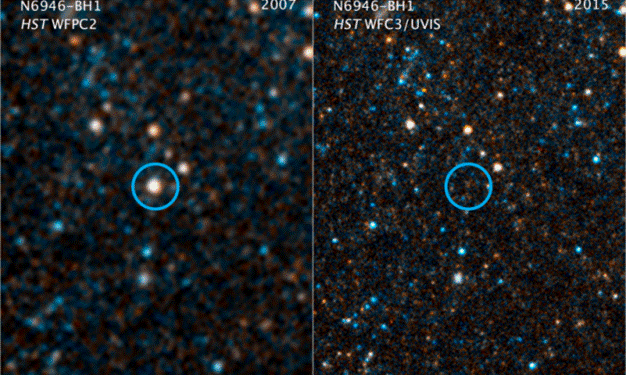 Collapsing star gives birth to a black hole