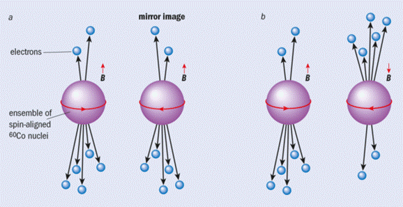 Appell-fig1-635x326.png