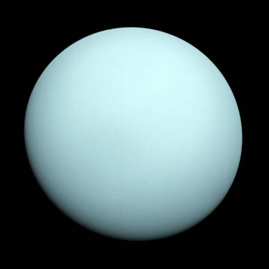 Uranus as seen by NASA's Voyager 2.tif
