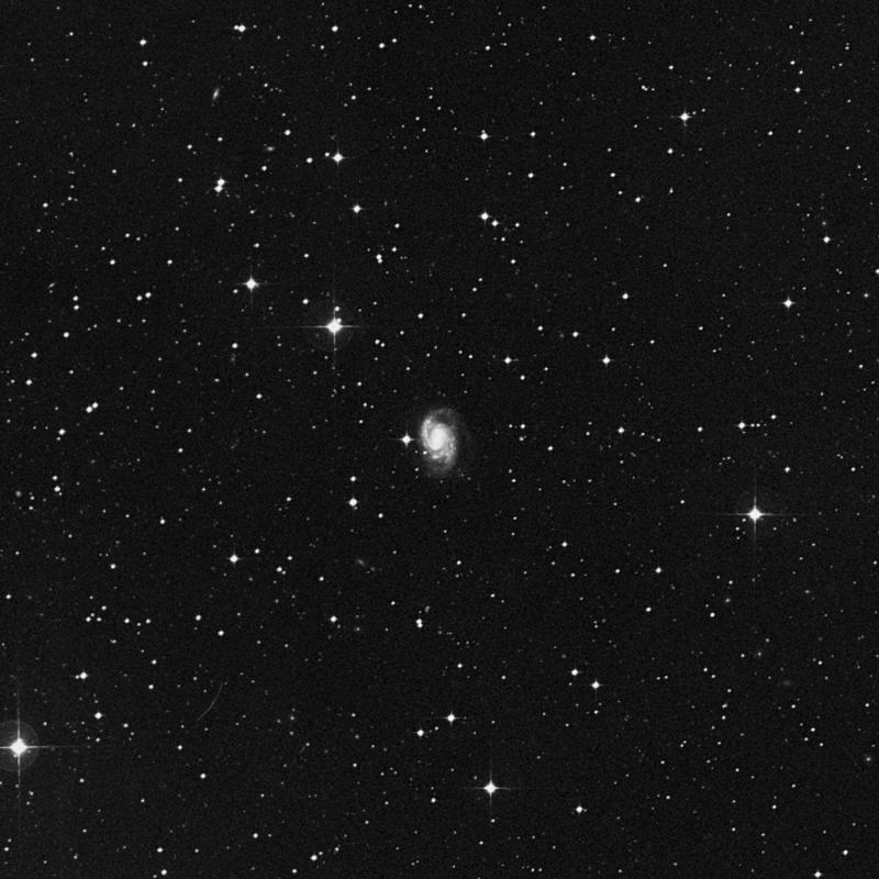 Lepus_NGC1832-dss2r.jpg