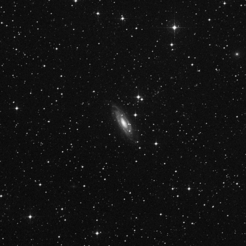Lepus_NGC1964-dss2r.jpg
