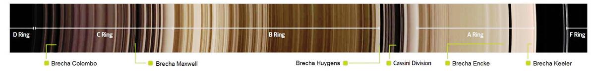 perfil anillos 1.jpg